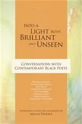 Book cover of Into a Light Both Brilliant and Unseen by Unknown