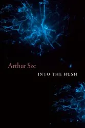 Book cover of Into the Hush by Arthur Sze
