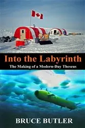 Book cover of Into the Labyrinth by Margaret Weis