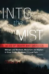 Book cover of Into the Mist (2nd ed.) by David Brill