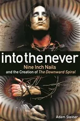 Book cover of Into The Never by Adam Steiner