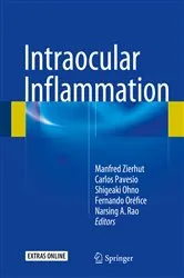 Book cover of Intraocular Inflammation by Manfred Zierhut