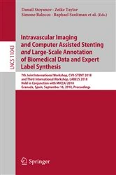 Book cover of Intravascular Imaging and Computer Assisted Stenting, and Large-Scale Annotation of Biomedical Data and Expert Label Synthesis by M. Jorge Cardoso