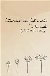 Book cover of intricacies are just cracks in the wall by Sarah Margaret Henry