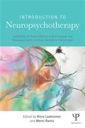 Book cover of Introduction to Neuropsychotherapy by Anni Pitkäniemi