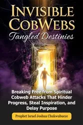 Book cover of Invisible CobWebs, Tangled Destinies by Unknown