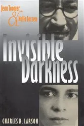 Book cover of Invisible Darkness by Charles R. Larson