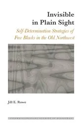 Book cover of Invisible in Plain Sight by Dulce Maria Scott