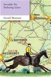 Book cover of Invisible Yet Enduring Lilacs by Gerald Murnane