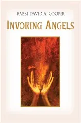 Book cover of Invoking Angels by David A. Cooper