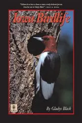 Book cover of Iowa Birdlife by Gladys Black