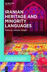 Book cover of Iranian and Minority Languages at Home and in Diaspora by Anousha Sedighi