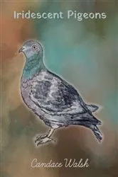 Book cover of Iridescent Pigeons by Candace Walsh