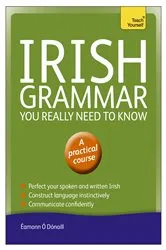 Book cover of Irish Grammar You Really Need to Know: Teach Yourself by Éamonn Ó'Dónaill
