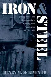 Book cover of Iron and Steel by McKiven, Henry M., Jr.