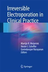 Book cover of Irreversible Electroporation in Clinical Practice by Martijn R. Meijerink