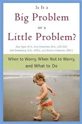 Book cover of Is It a Big Problem or a Little Problem? by Amy Egan