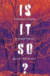 Book cover of Is It So? Glimpses, Glyphs, & Found Novels by Unknown