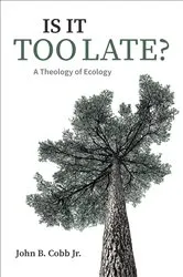 Book cover of Is It Too Late? by Gabriele Junkers