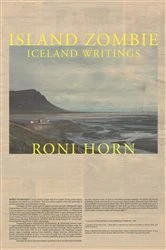 Book cover of Island Zombie by Roni Horn