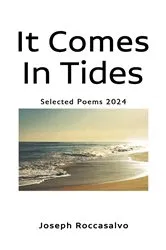 Book cover of It Comes In Tides by Joseph Roccasalvo