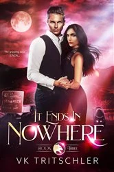 Book cover of It Ends in Nowhere by VK Tritschler