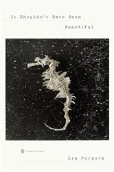 Book cover of It Shouldn't Have Been Beautiful by Lia Purpura