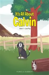 Book cover of It's All About Calvin by Pamela Damron