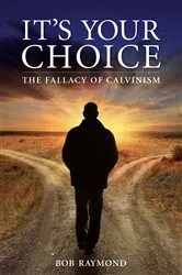 Book cover of It's Your Choice by Bob Raymond
