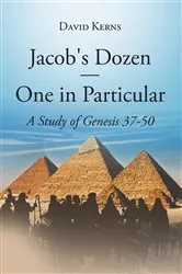 Book cover of Jacob's Dozen One in Particular by David Kerns