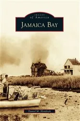 Book cover of Jamaica Bay by Daniel M. Hendrick