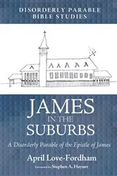 Book cover of James in the Suburbs by April Love-Fordham