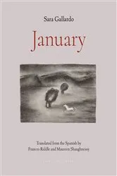 Book cover of January by Sara Gallardo