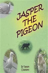 Book cover of Jasper The Pigeon by Tamsyn Chambers