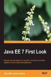 Book cover of Java EE 7 First Look by NDJOBO Armel Fabrice