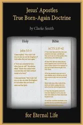 Book cover of Jesus' Apostles - True Born Again Doctrine by Clarke Smith