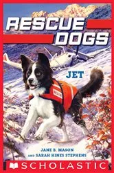 Book cover of Jet (Rescue Dogs #3) by Jane B. Mason