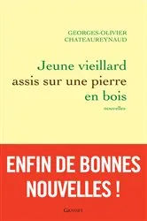Book cover of Jeune vieillard assis sur une pierre en bois by Unknown