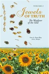 Book cover of Jewels of Truth by Ivan A. Pozo-Illas