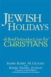 Book cover of Jewish Holidays by Rabbi Kerry M. Olitzky