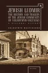Book cover of Jewish Ludmir by Volodymyr Muzychenko