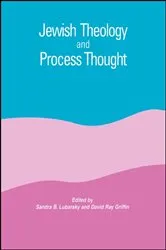 Book cover of Jewish Theology and Process Thought by Sandra B. Lubarsky