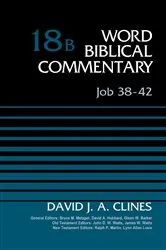 Book cover of Job 38-42, Volume 18B by David J. A. Clines