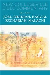 Book cover of Joel, Obadiah, Haggai, Zechariah, Malachi by John J. Collins