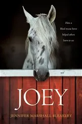 Book cover of Joey by Jennifer Marshall Bleakley