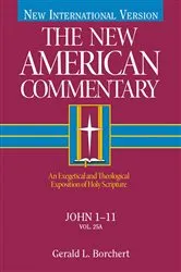 Book cover of John 1-11 by Gerald  L. Borchert