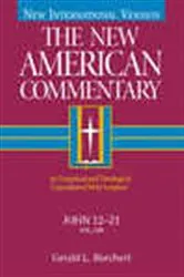 Book cover of John 12-21 by Gerald  L. Borchert