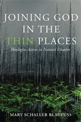 Book cover of Joining God in the Thin Places by Mary Schaller Blaufuss