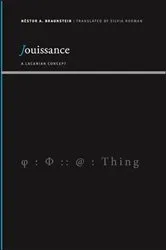Book cover of Jouissance by Néstor A. Braunstein