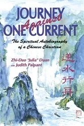 Book cover of Journey Against One Current by Julia Duan